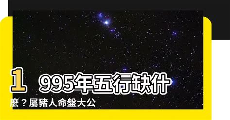 1995屬豬幸運色|【1995年 五行】1995年五行屬什麼？揭曉你的命理密碼！